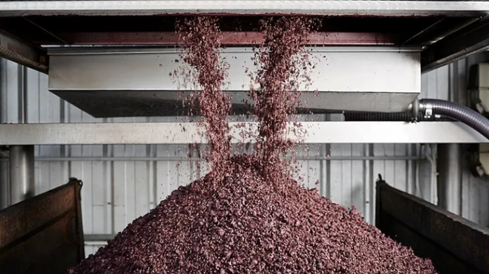 Orujo de uva tinta cayendo desde una tolva industrial y acumulándose durante su procesamiento para convertirlo en harina de uva.