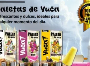 yucat