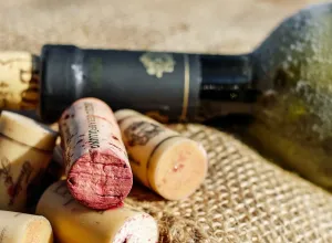 vino