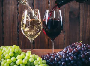 Beber mejor, no más: la nueva cultura del vino