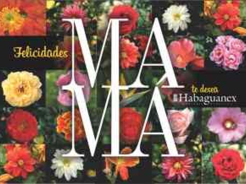 La Compañía Turística Habaguanex S.A. lo invita a celebrar el Día de las Madres 