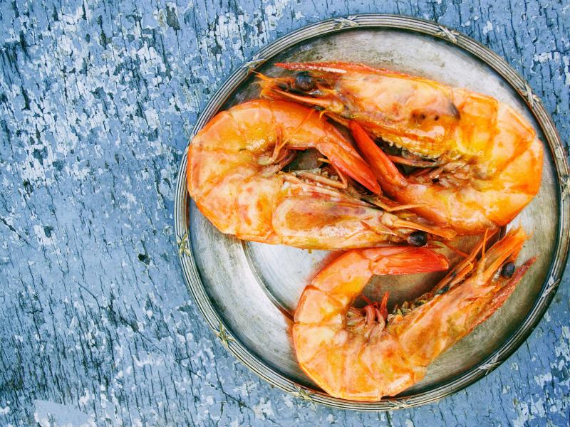 gamba