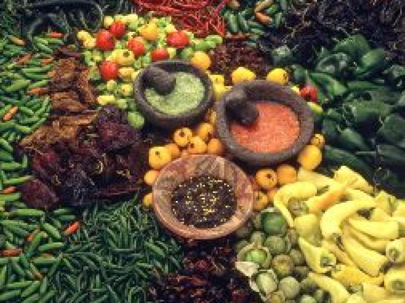Fundida en negro, un encantamiento con la Gastronomía Mexicana