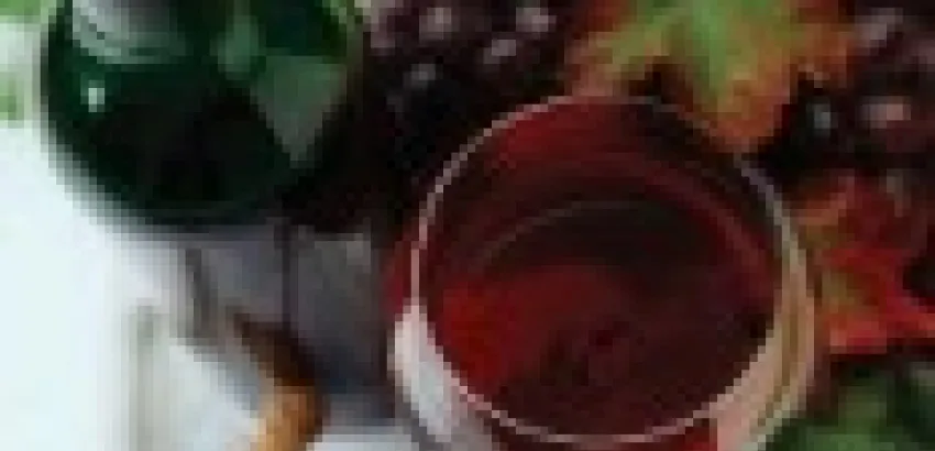 Chile: Las ventas de vinos sienten el rigor de la crisis Chile: Las ventas de vinos sienten el rigor de la crisis