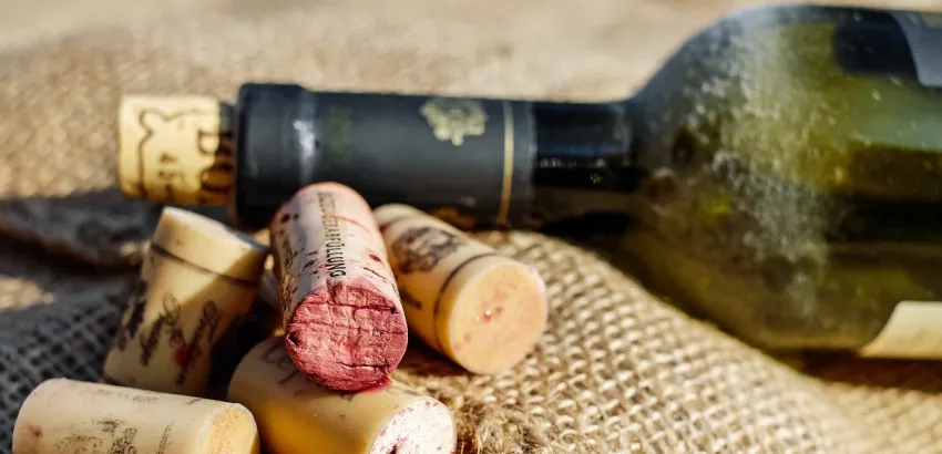 vino