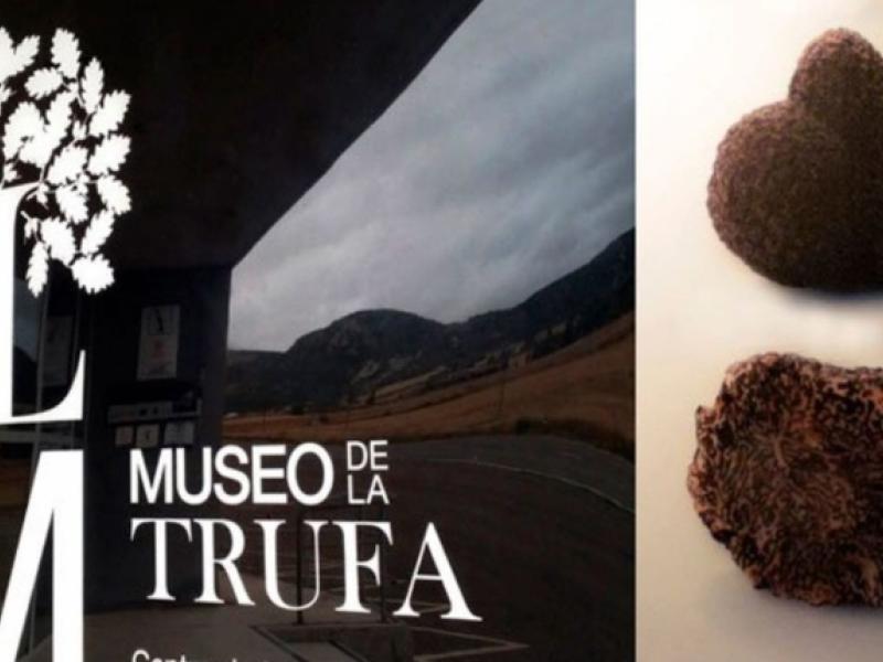 museos de españa