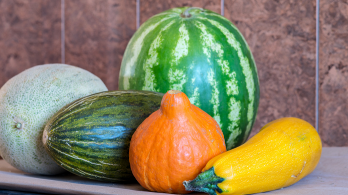 familia de las&nbsp;Cucurbitaceae, en la que también se encuentran alimentos como el calabacín, el pepino, el melón y la sandía. 