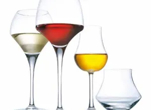 Vinos del nuevo mundo