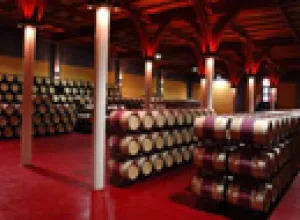 Ruta del Vino de La Mancha invita a conocer la tierra del Quijote