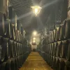 barricas de vinos generosos