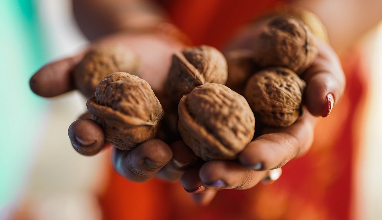 nueces-propiedades-beneficios