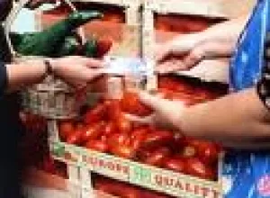 Sigue creciendo el precio internacional de los alimentos