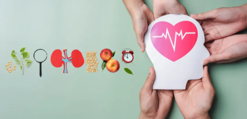 Alimentos para reducir el cortisol Alimentos para reducir el cortisol