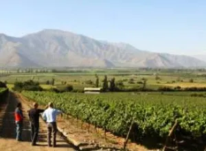 Enoturismo en Chile, las Rutas del Vino