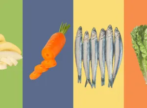 alimentos verano