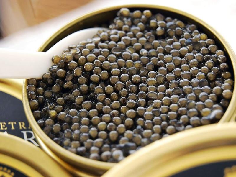 caviar royal oscietra