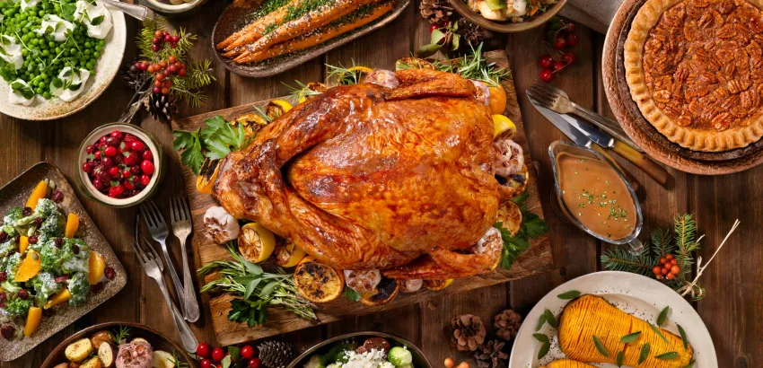 Thanksgiving Day-Accion-de-Gracias