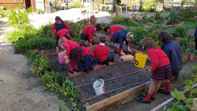 Niños en el huerto urbano