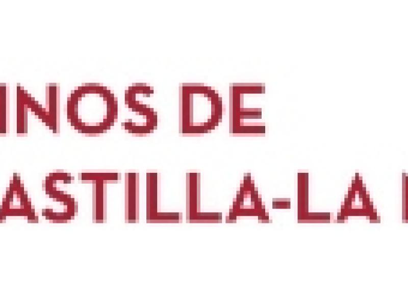 Los Vinos de Castilla-La Mancha quieren conquistar a los jóvenes en Enofestival