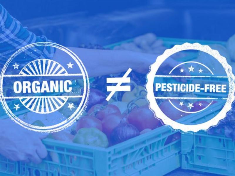 Confusión a nivel mundial sobre la información de las etiquetas alimentarias