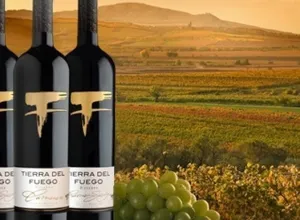 Tierra del Fuego… vinos con alma chilena