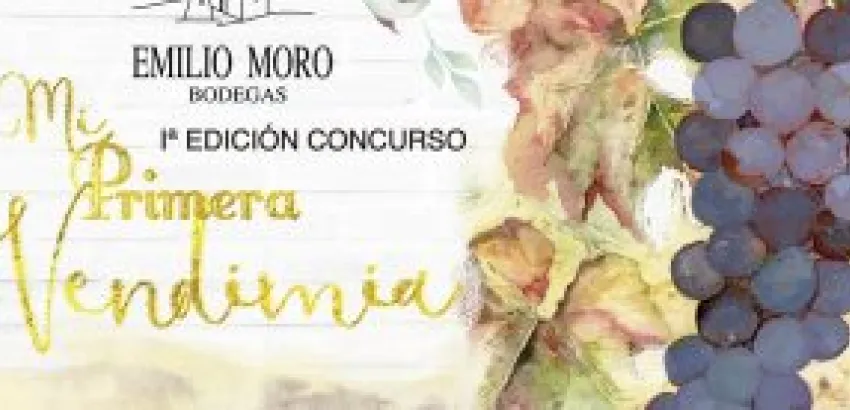 Los alumnos del IES José Jiménez Lozano y el Colegio Rural Agrupado (CRA) Antonio de Nebrija, son los ganadores de la Primera Edición del Concurso "Mi Primera Vendimia" Los alumnos del IES José Jiménez Lozano y el Colegio Rural Agrupado (CRA) Antonio de Nebrija, son los ganadores de la Primera Edición del Concurso "Mi Primera Vendimia"