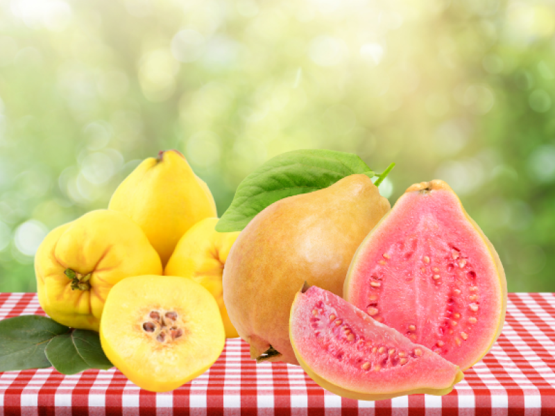 membrillo y guayaba