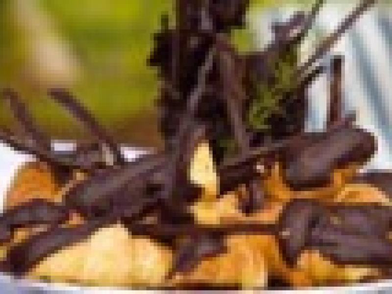 Chocolate, el elegido de los Dioses