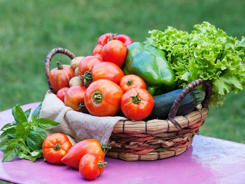 Vegetales y hortalizas 