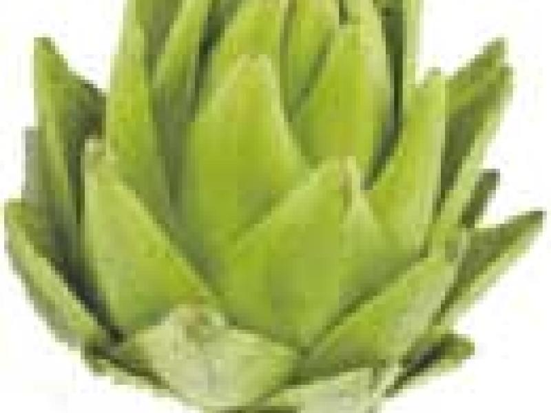 La alcachofa ecológica: manjar exquisito en nuestra gastronomía