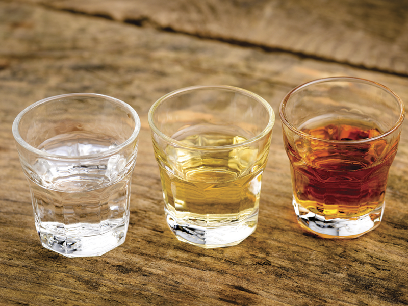 tequila-mezcal-destilados-de-agave