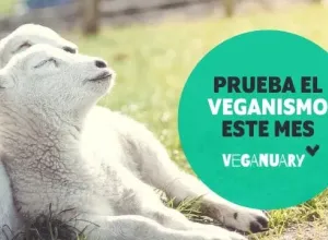Veganuary