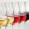 mejores vinos de España