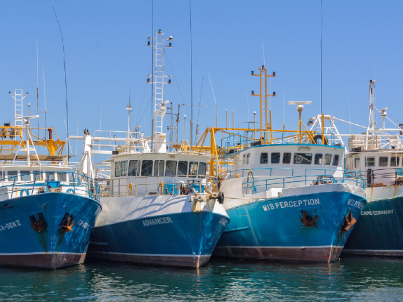 Crisis de pesca en Galicia