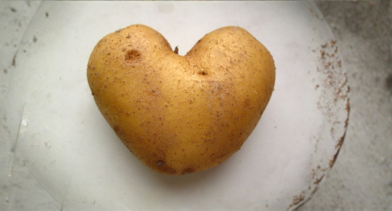 Los beneficios saludables de la patata la patata tiene beneficios saludables