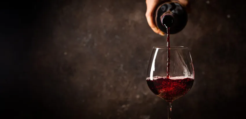 The Wine Edition