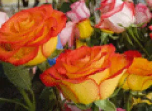 EL lenguaje de las flores