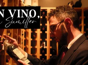 Un Vino, Un Sumiller: Macharnudo “El Notario” 2019 por Giorgio Pellegrini
