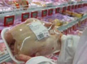 España: El pollo se ubica como la segunda carne más consumida