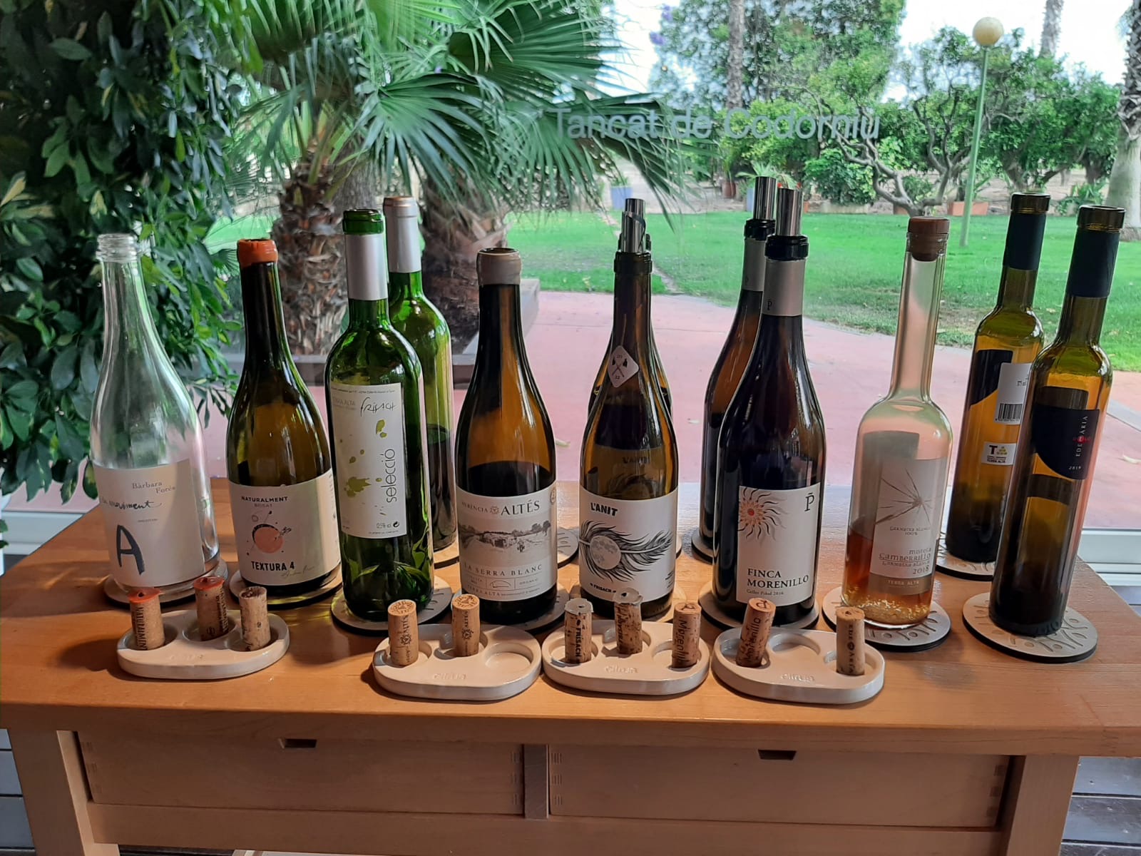 vino