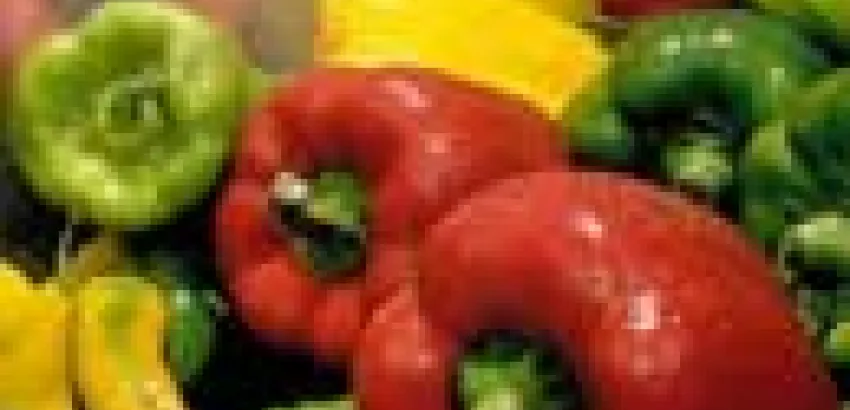 España es el quinto productor mundial de pimiento y el tercer exportador mundial España es el quinto productor mundial de pimiento y el tercer exportador mundial