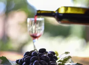 vino-organico