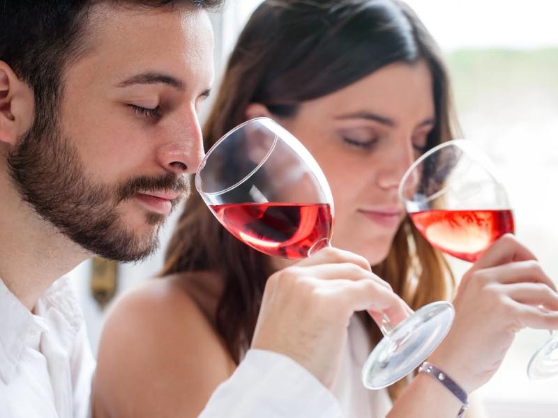 vino-cata