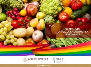 Gastronomía sostenible