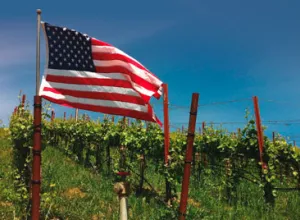 Vinos de Estados Unidos: el placer creciente