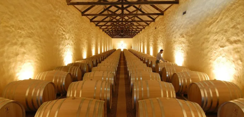 Bodega de la Cooperativa de Palmela en Setúbal, Portugal bodega de la cooperativa de Palmela