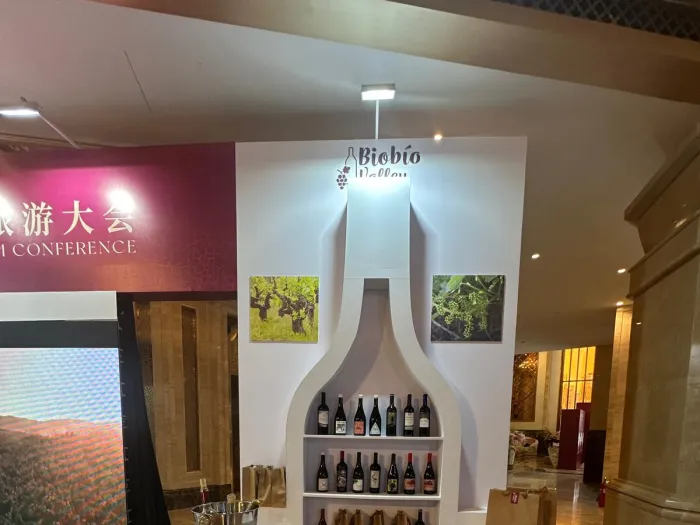 Vinos de Chile- II Cumbre Mundial OMET del Enoturismo Responsable 2025