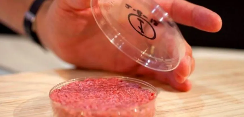 ¿Estarían los consumidores dispuestos a comer carne de laboratorio regularmente? ¿Estarían los consumidores dispuestos a comer carne de laboratorio regularmente?