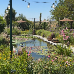 finca bodas madrid aal cachucho