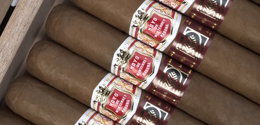 Hoyo de Monterrey 